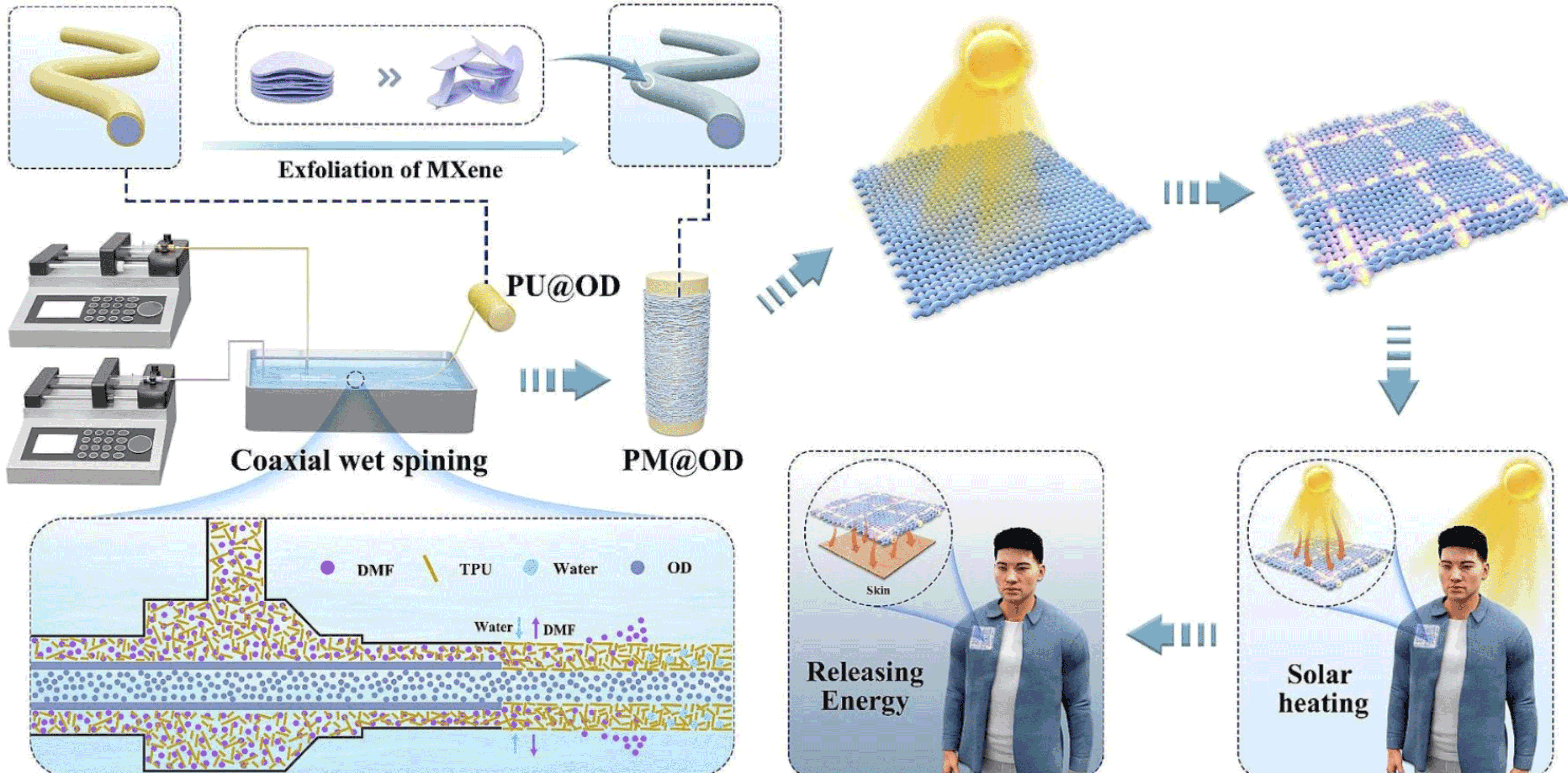 江南大学魏取福教授团队6篇if>15的高质量论文_纤维_纳米_结构