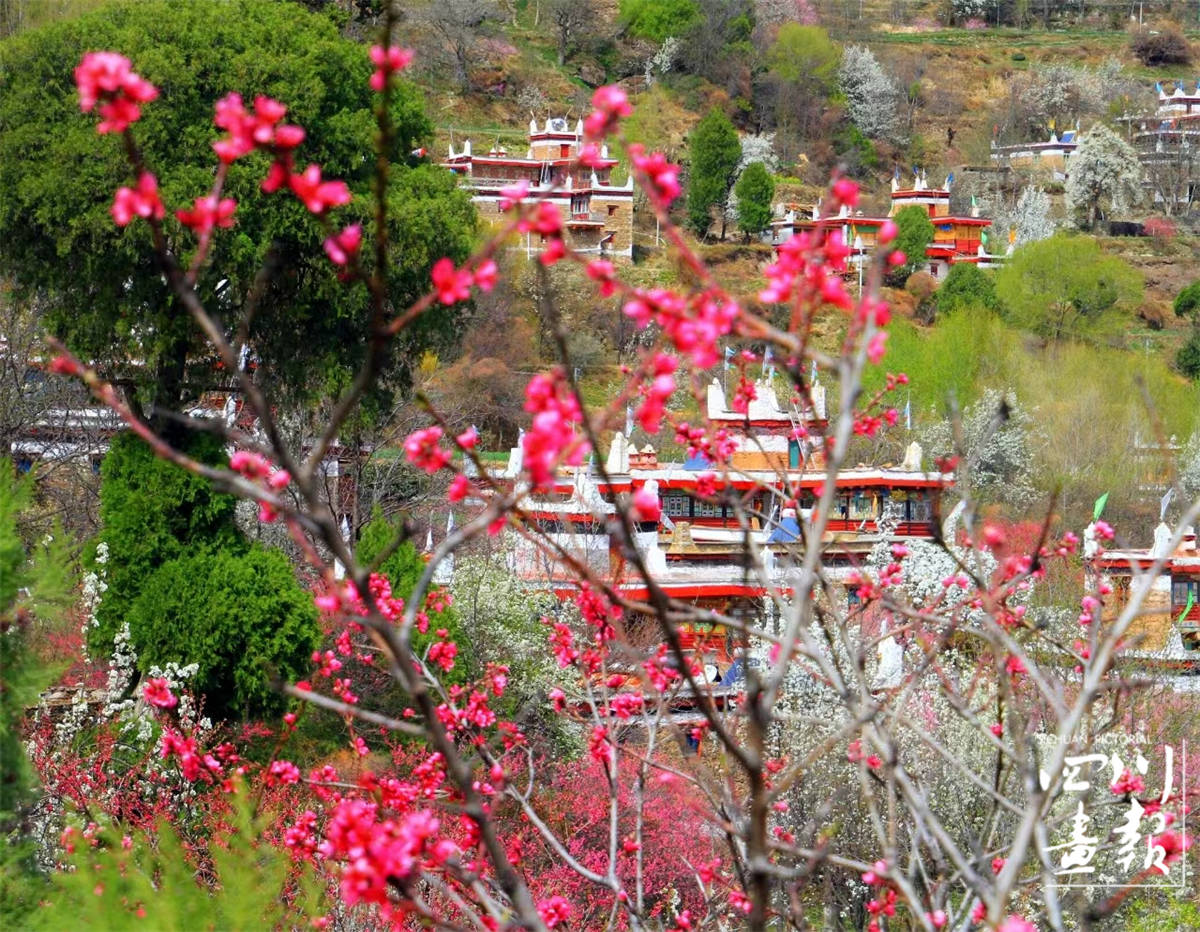 画报news丹巴全域全季旅游营销打造县域文旅融合新样板