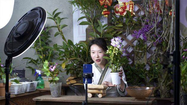 在龙陵县平达乡石斛花卉直播基地里,主播王红艳和其他五位同事都会