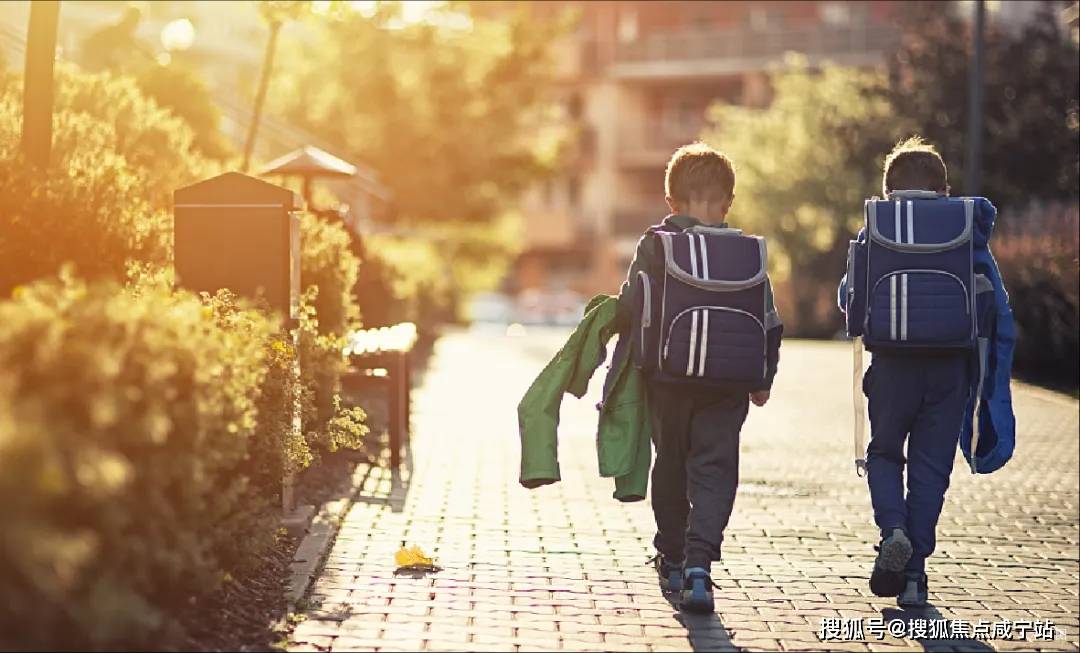 05生态配套项目周边座落着华新人民公园,华隆公园等生态公园.