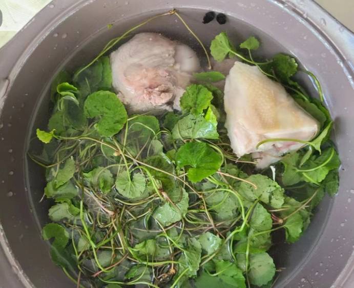 原创春天这菜使劲吃一去湿气二益肝明目三清热现在当季营养高