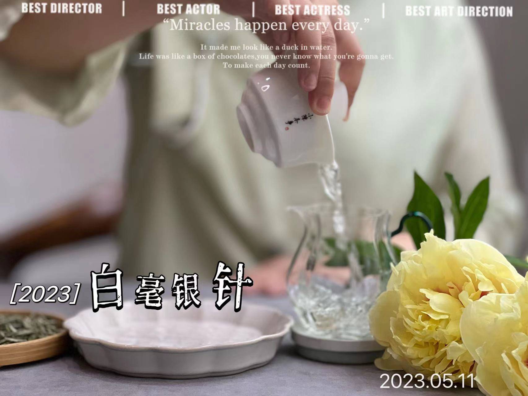 原创洗茶闷泡过滤这4种错误泡法会毁了你的白毫银针