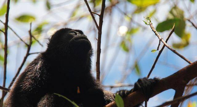 碎心难过的情感文案句句伤情触人灵魂