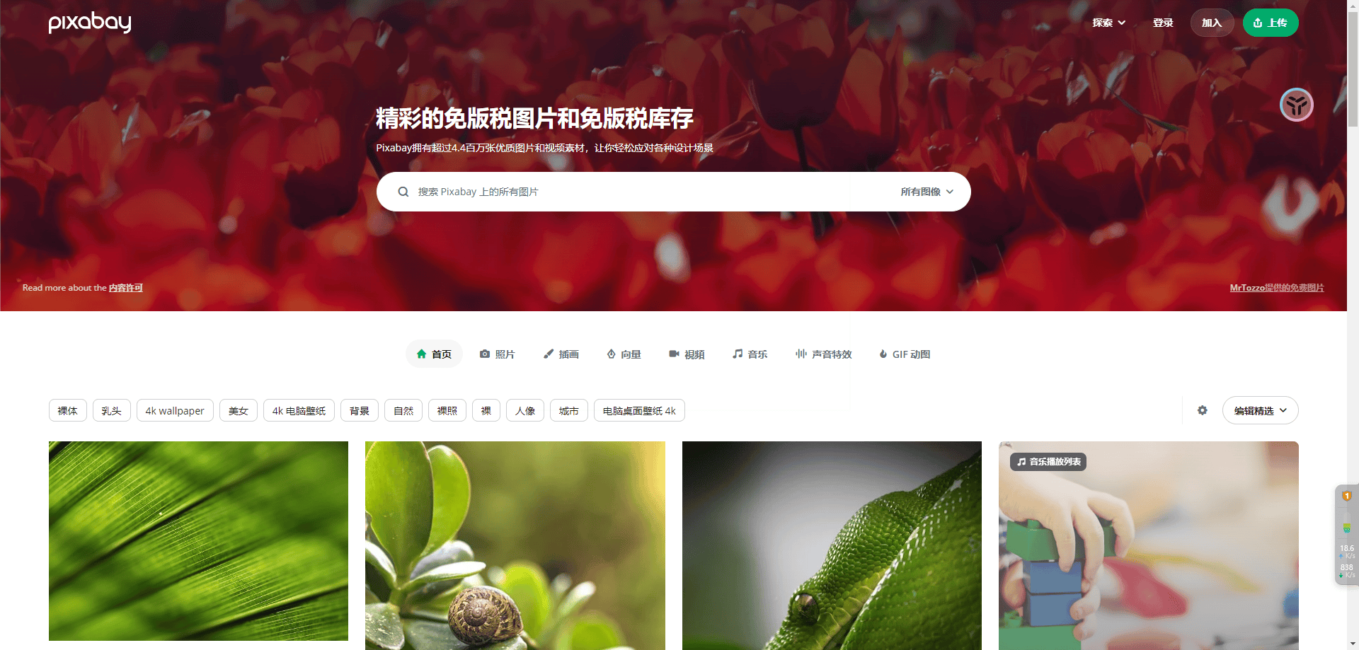 探索摄影素材网站自媒体人的创作宝库