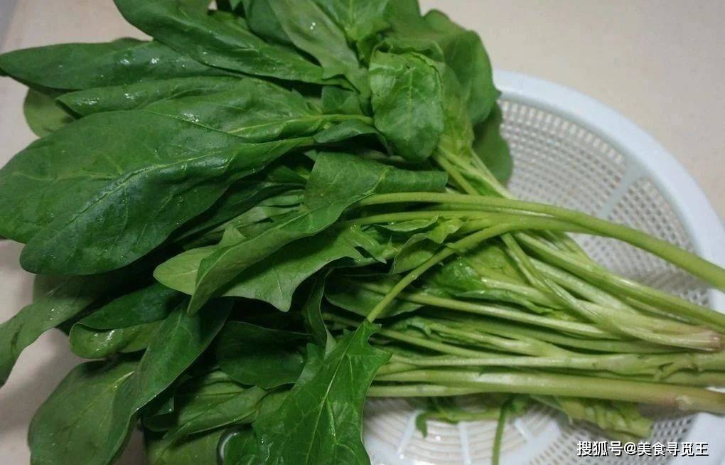 春天买菠菜,要分清"圆叶"和"尖叶",口感区别大,要了解