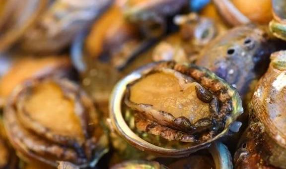 离万溪冲梨园10分钟车程呈贡一老字号平价海鲜赏完花正好去吃