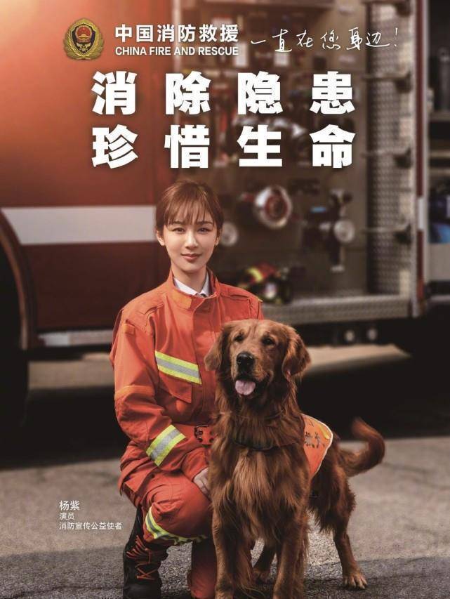 原创杨紫烟雾朦胧大片首度曝光表现力和氛围感超绝网友表示未曾见她的