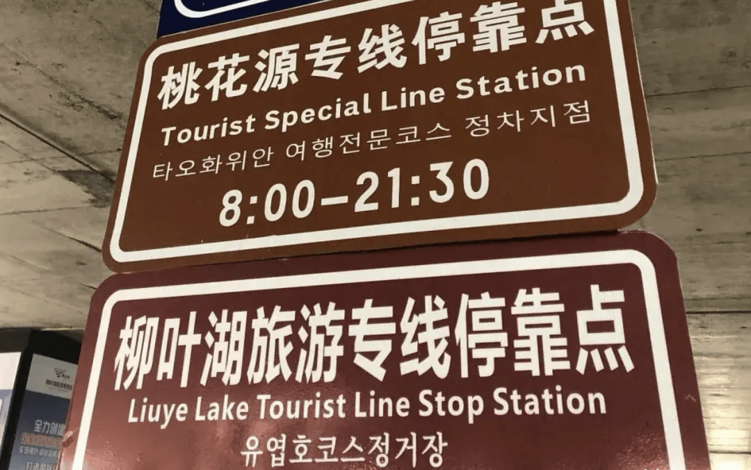 旅游_中国_游客