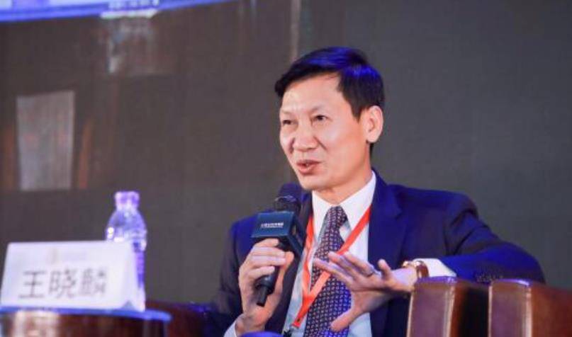 原创贪污国有资产骗取国家66亿后逃往美国王晓麟至今仍逍遥法外