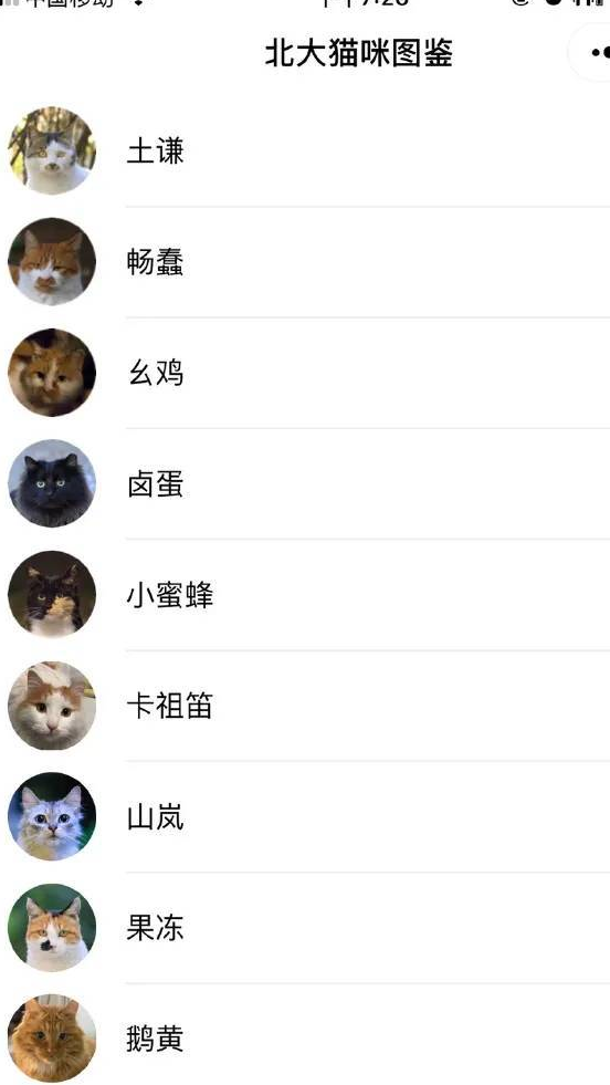 原创给流浪猫建档案不愧是北大只是这些猫的画风有点不对劲