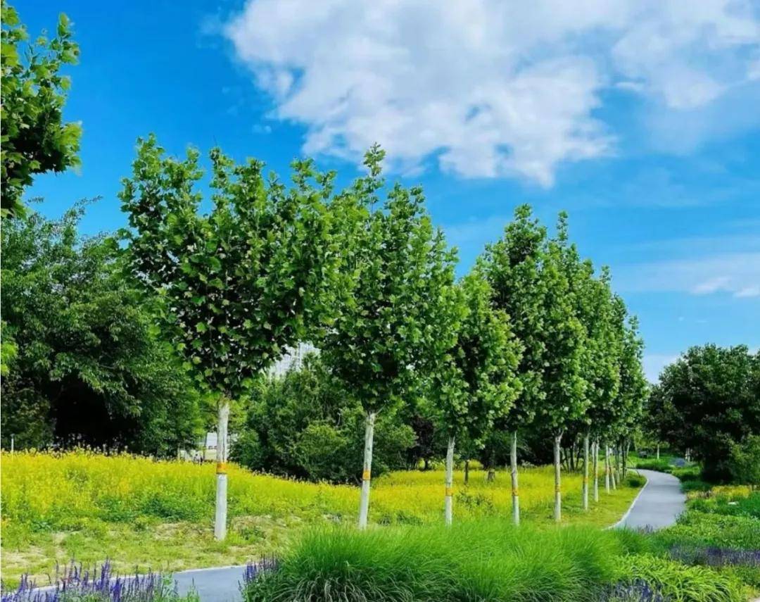 全面解读亦庄地铁盘北京润府户型图和效果图已出