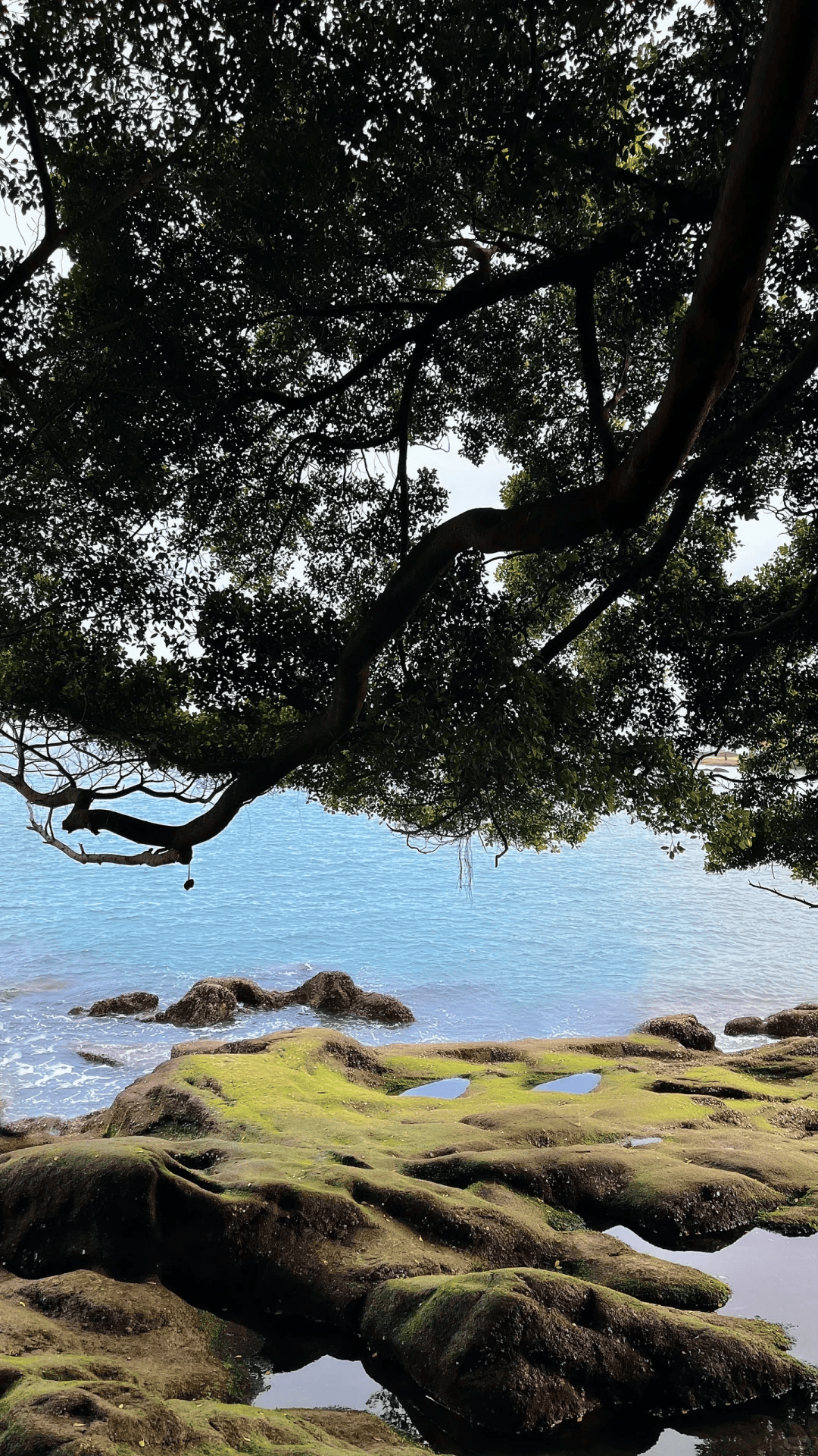 厦门旅游景点推荐榜,去厦门旅游游玩景点攻略,完整版!