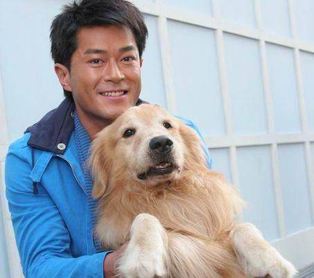 原创原创10年发3841篇博客每天至少一篇古天乐的毅力有多可怕