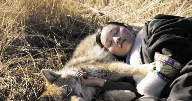 原创把狼弄回家当儿子养邻居举报女孩无奈送回草原再相遇已是狼王