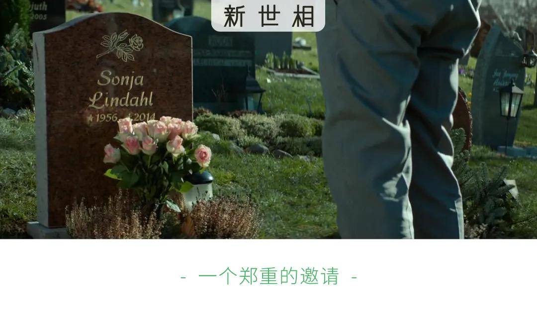 那天坐在你的墓碑前我突然不害怕死亡了