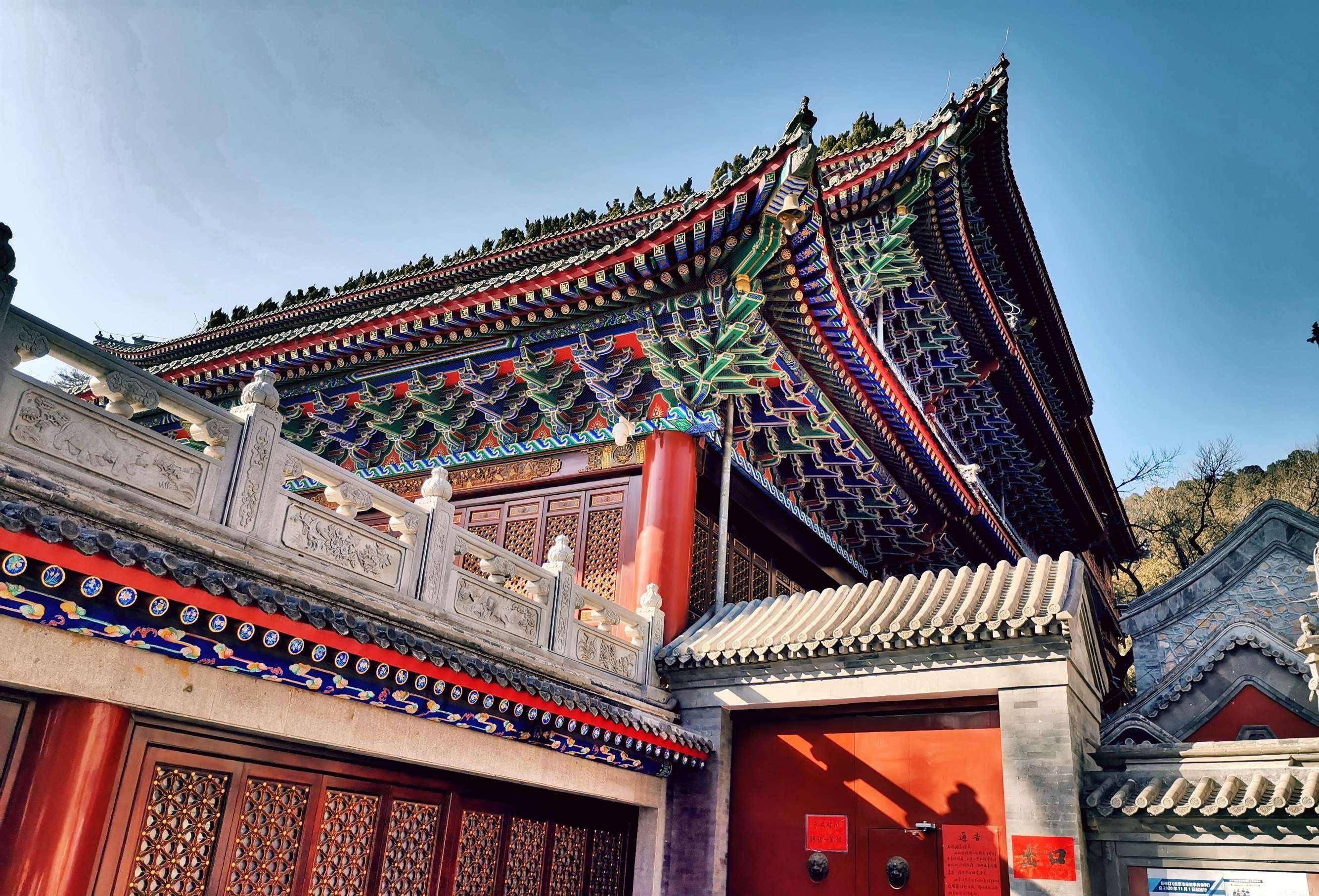 辽宁一清贫寺庙庙内皆女性不收香客钱财日睡4小时吃一餐