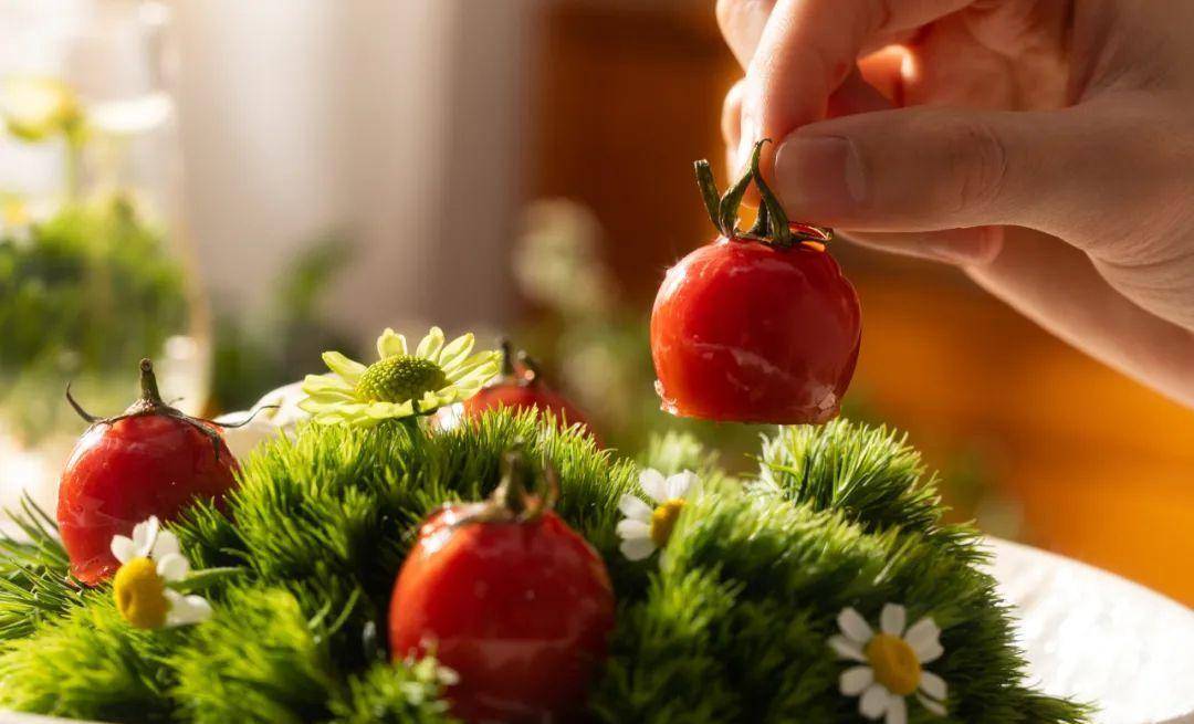 小番茄_杏鲍菇_沙拉