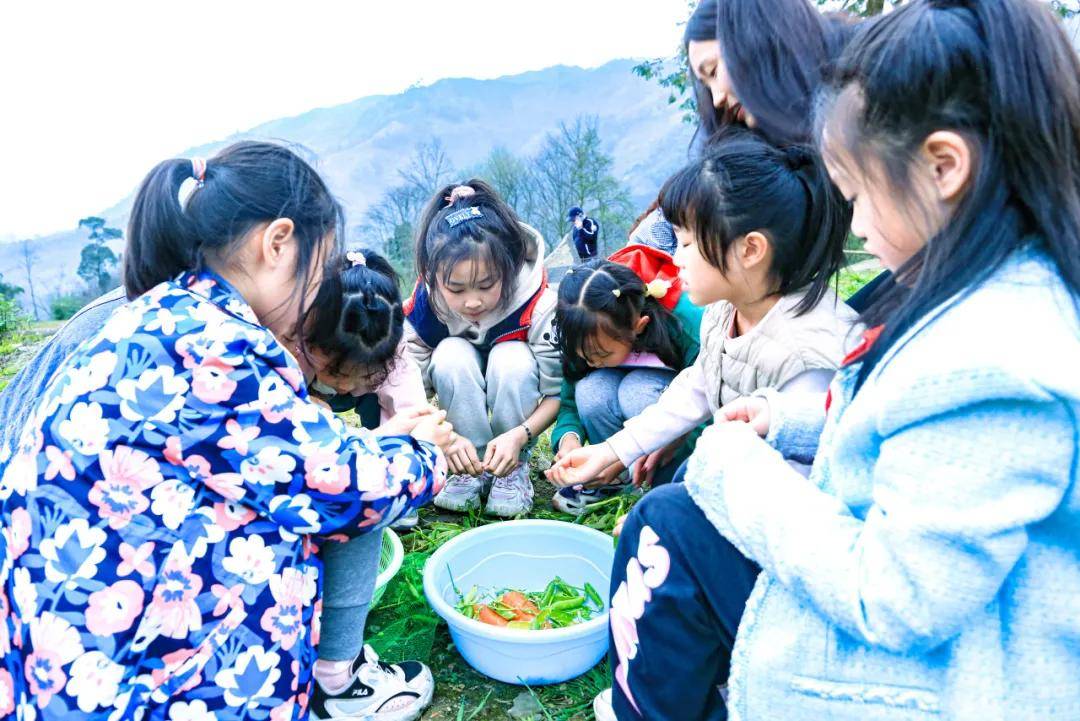 亲子户外研学的正确打开方式这里的春天更适合孩子