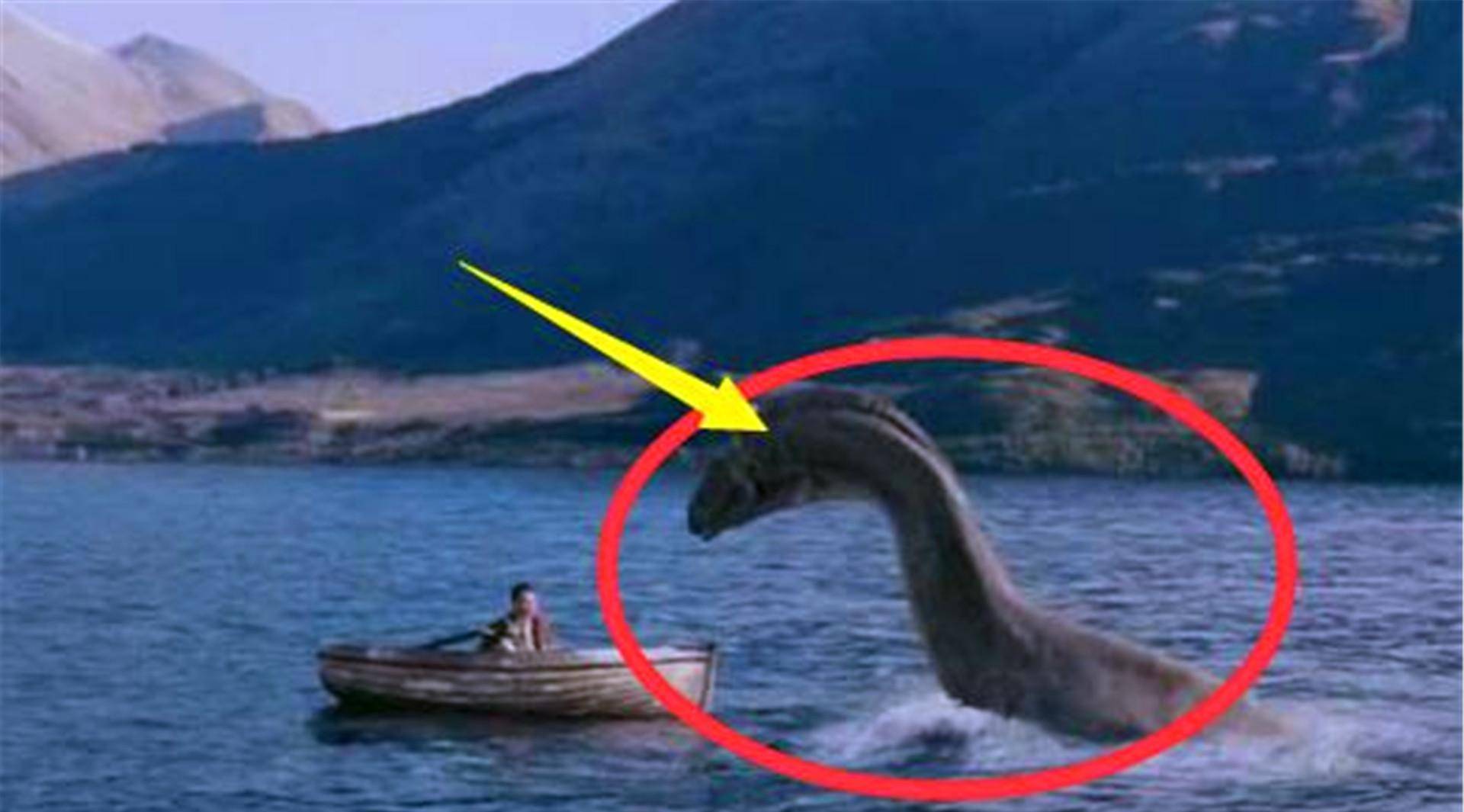 新疆湖中出现"水怪",牛羊被拖走无人敢靠近,专家看后揭晓答案_喀纳斯