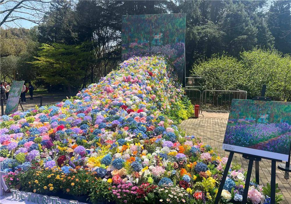 8米长莫奈花梯等你打卡魔都这场春日花展太出片