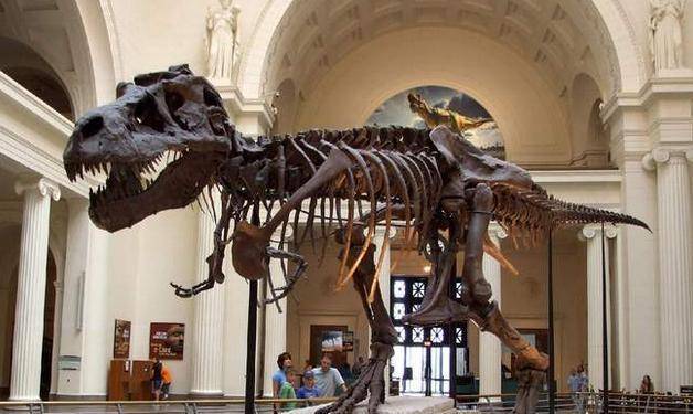 原创霸王龙到底长啥样其实你印象中的古生物形象大部分都是错误的