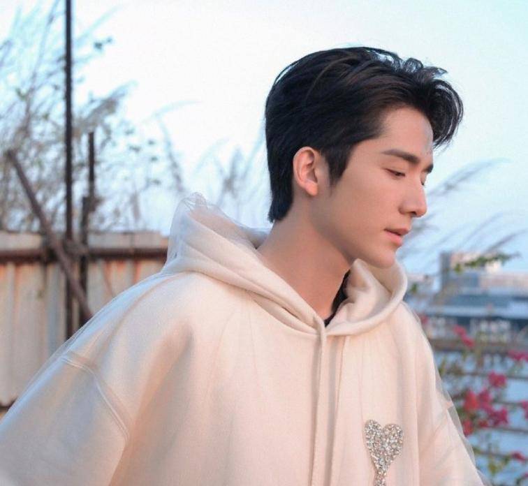 业务不差长相不丑为啥张新成演了那么多大制作大ip还不火