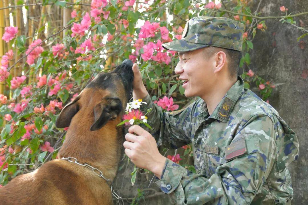 美图暴击军队文职备考壁纸这不就有了多图预警