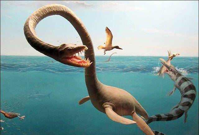 原创百年谜团尼斯湖水怪真相被英国老翁解密水怪是由洗衣机做的