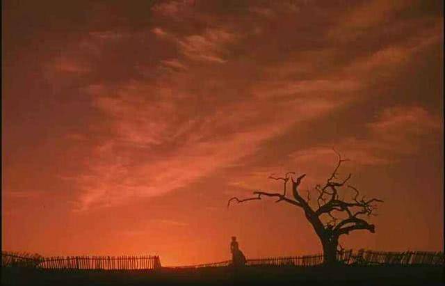 《飘》:飘逝的都是属于昨天的,留下来的才是面向未来的