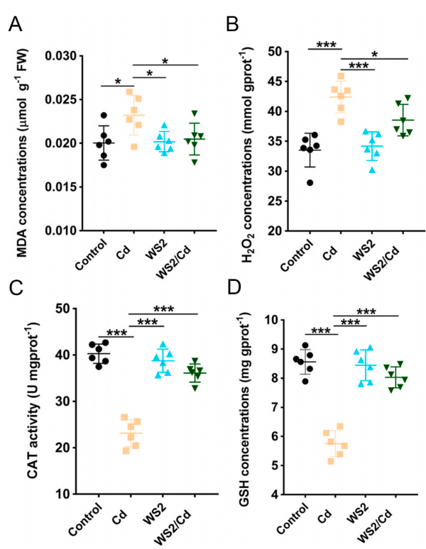 项目文章贪铜菌属菌株ws2减轻镉污染唤醒草原生机