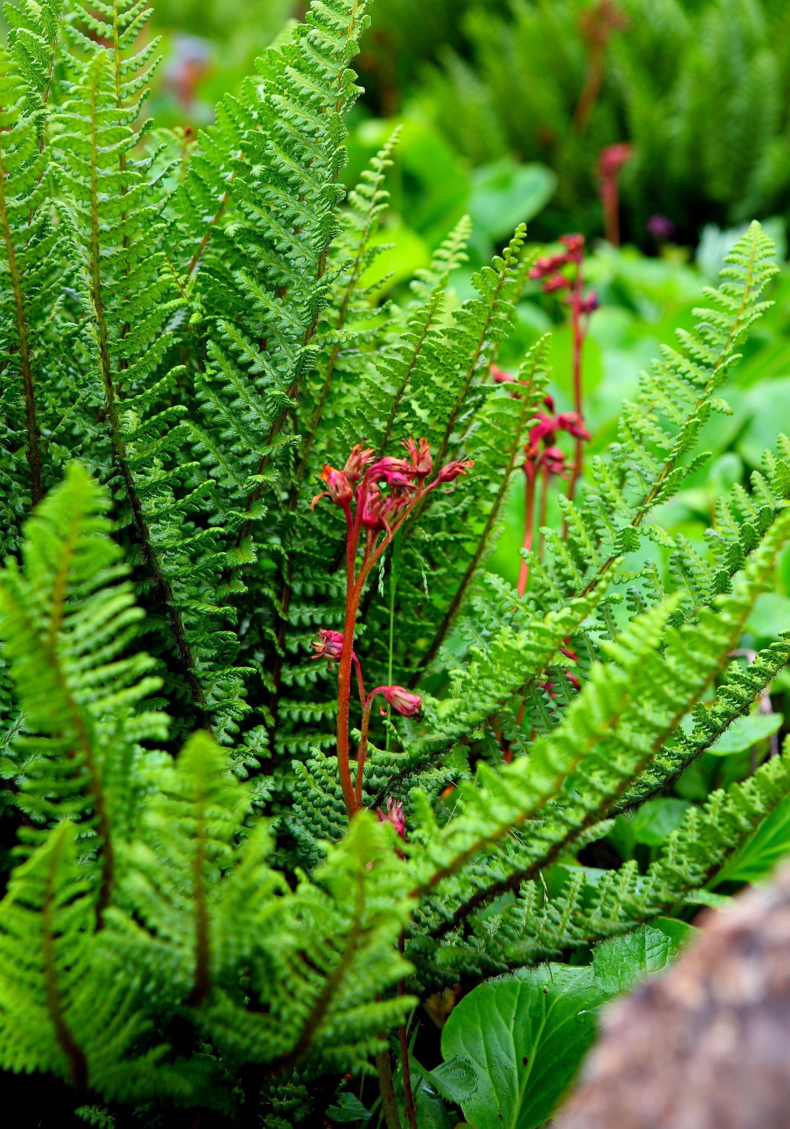 人类历史上最丰厚的嫁妆促成了一个强大民族的诞生