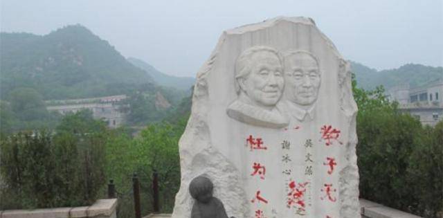 冰心的墓碑上,为何被其孙子写下"枉为人表,教子无方"8个大字