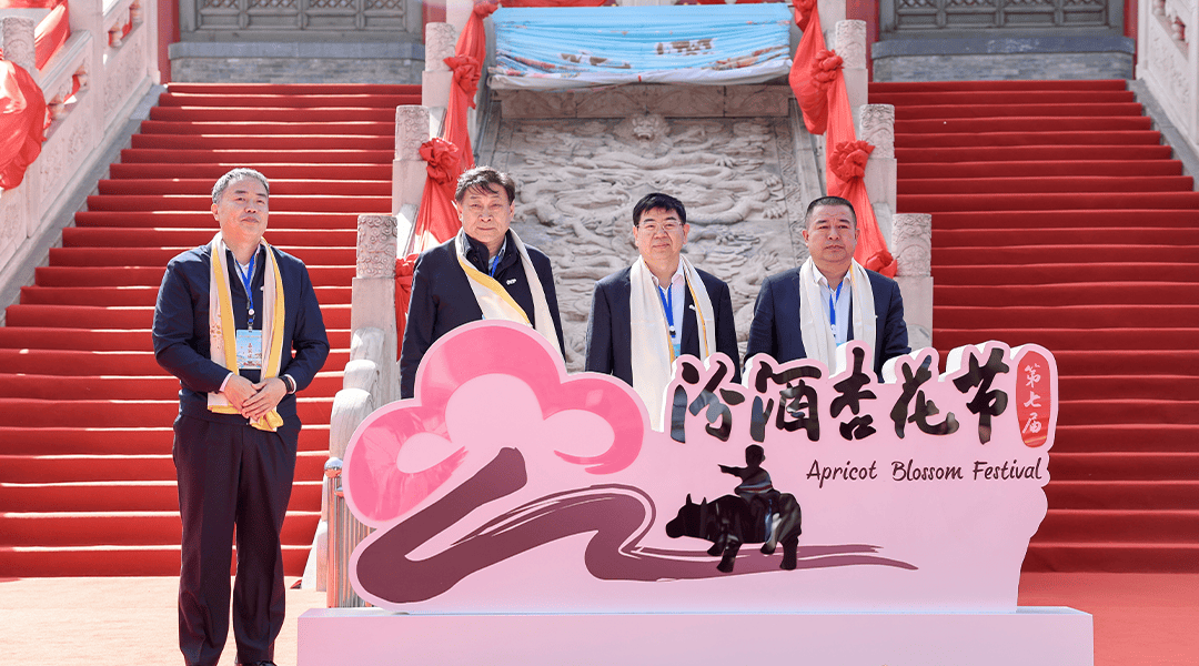 看得见摸得着的杏花村在汾酒杏花节探寻活态密码