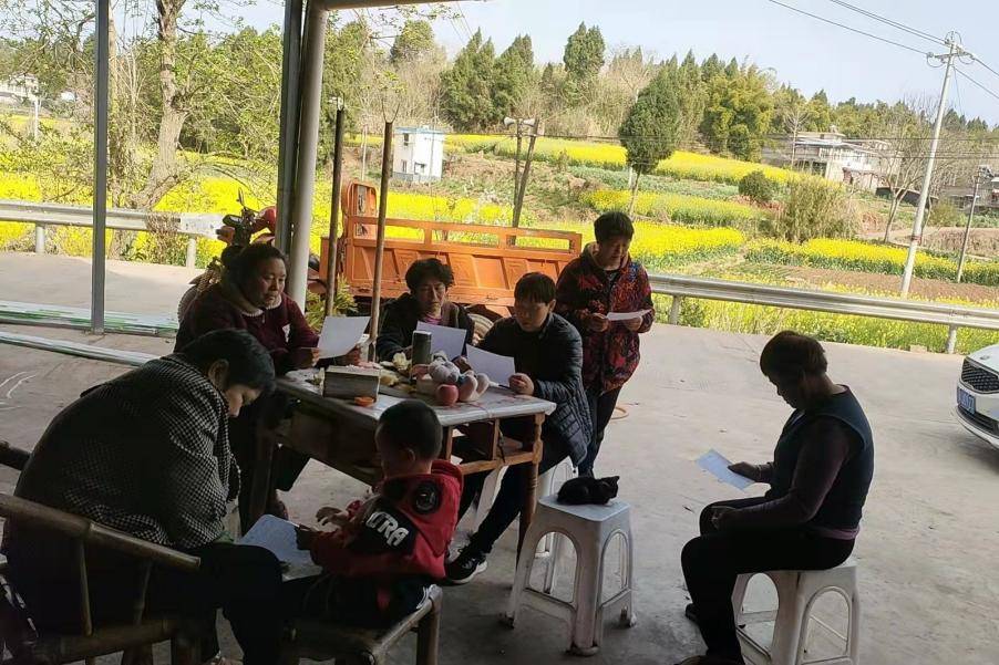简阳市三星镇防范诈骗人人参与和谐社会大家受益