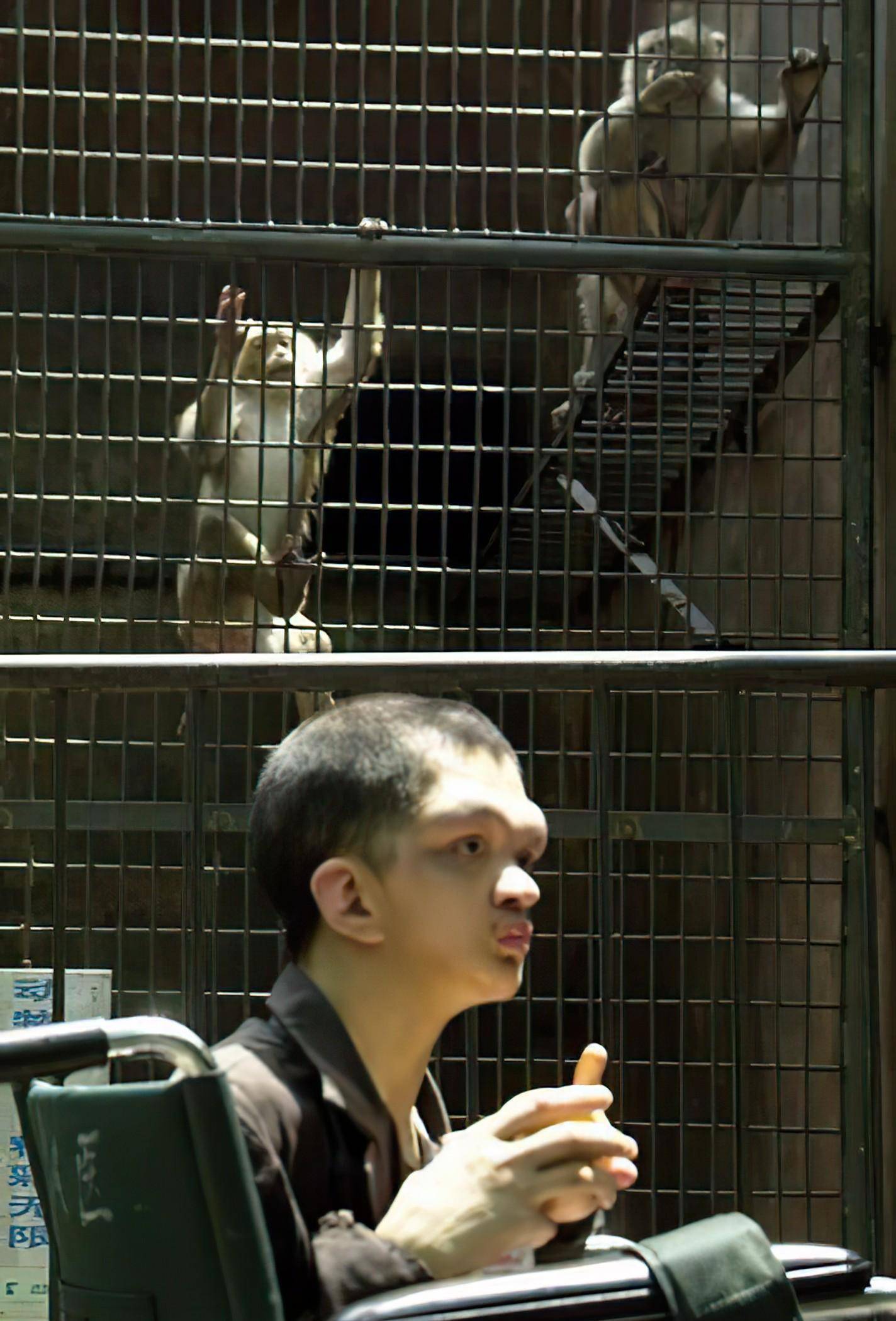 2007年,湖南小伙长相怪异如"猴人",爬行树林间智力仅2岁_陈聪_华的