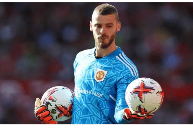 重返英超?德赫亚"预言"成真,曼联比纽卡斯尔更需要稳定门将_位置_影响