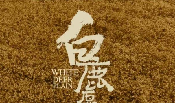 原创白鹿原里面对很多女人的描述让人感慨很容易投入其中