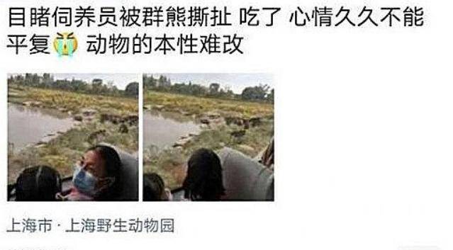 上海动物园熊吃人谁之过道德谴责的外衣下藏着人类的唯利是图