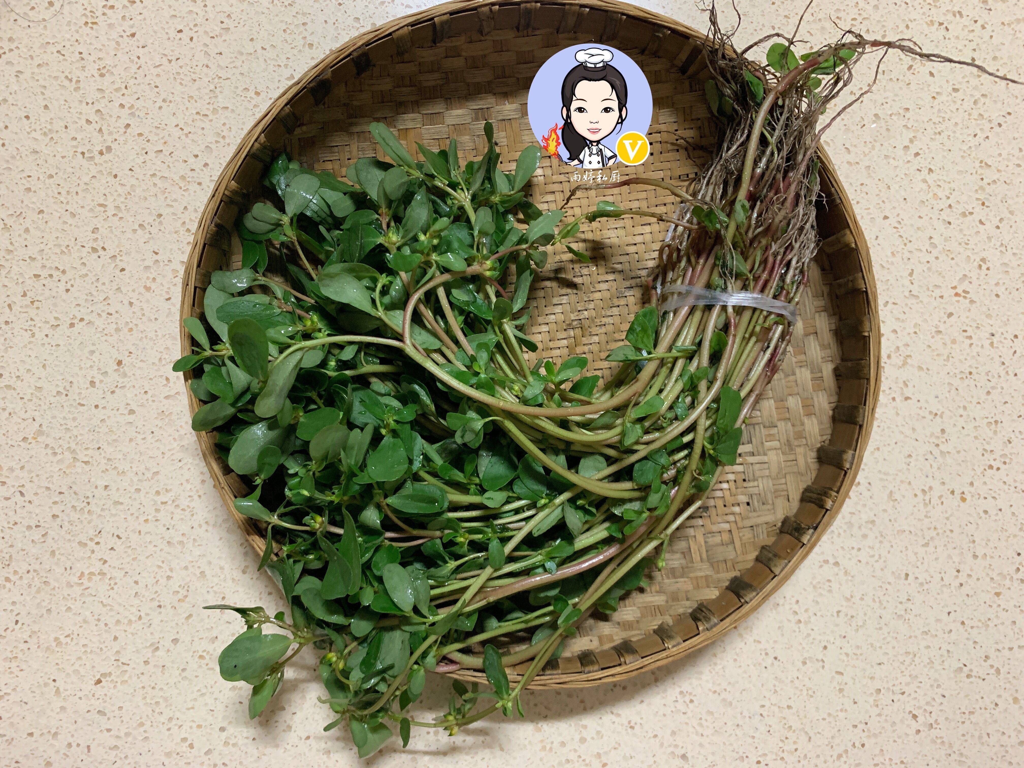 清明前后,这菜被誉为"草中燕窝",当菜又当药,遇见别错过_马齿苋_野菜