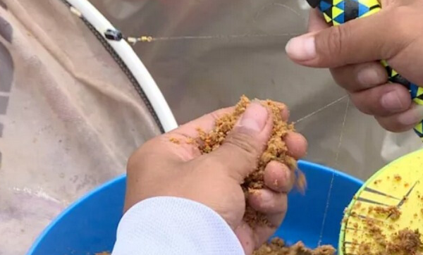 肥水鱼难钓掌握这四点照样能爆护