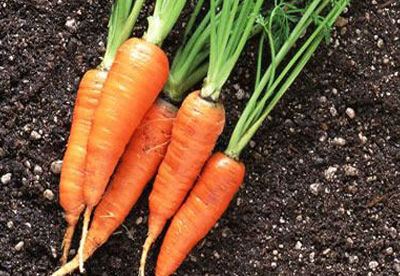 原创春天要养肝护肝果蔬水果怎能少