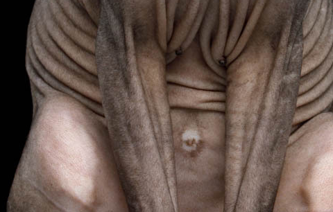 原创omg猫咪竟然有肚脐快来看看这些关于猫咪的有趣事实