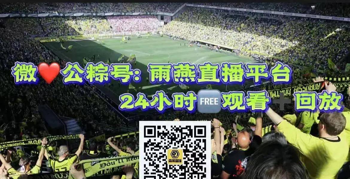 佛罗伦萨 vs 巴塞尔