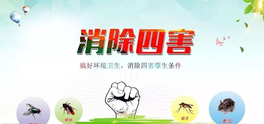 创卫消杀病媒生物防制