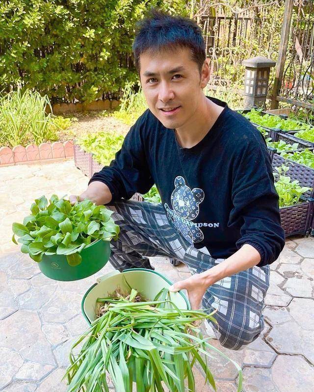 原创原创48岁黄征的家居生活火了院子里栽满蔬菜网友我羡慕的生活