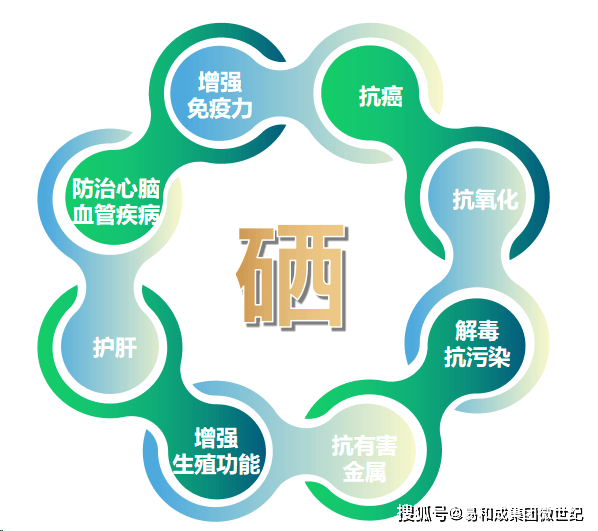 硒是人体必需的微量元素之一,它参与人体内多种酶的活性调节,对维持