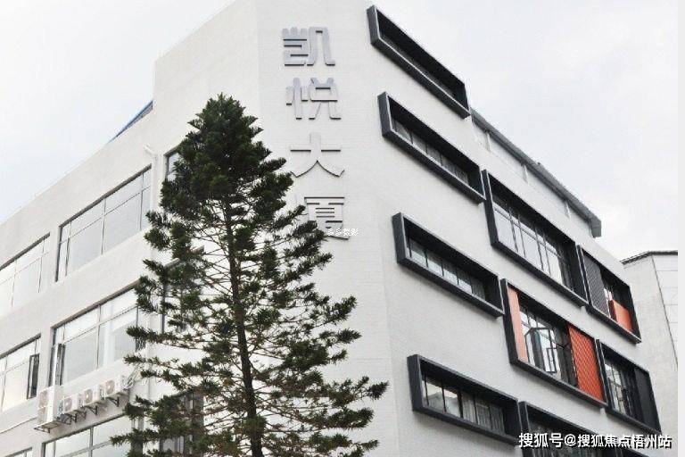 2024年广州凯悦大厦的优缺点分析合不合适租预约通道