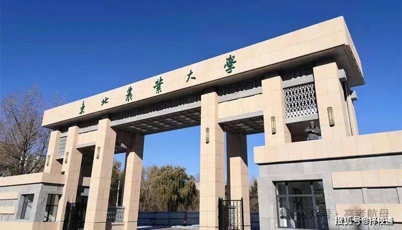 500分左右的211大学(500分左右的211大学有哪些)