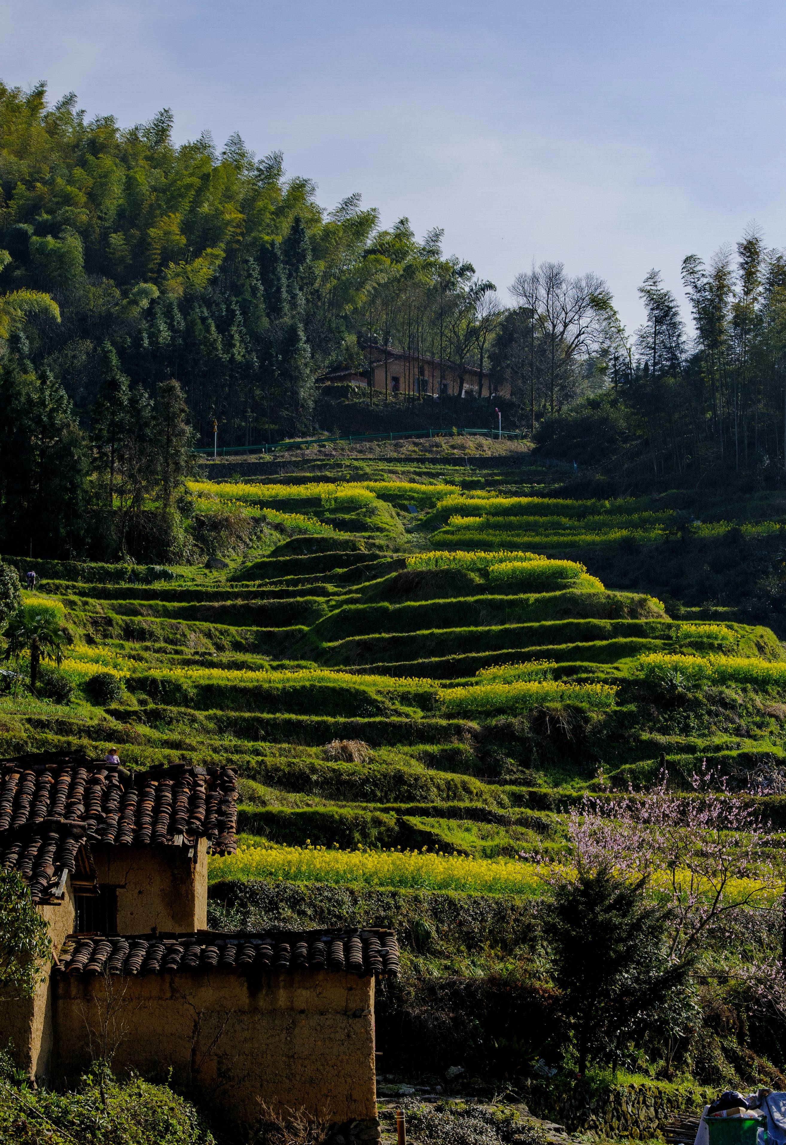 挂在山上的古村