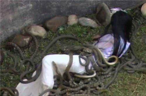 虿盆之刑有多残酷?受刑人受蛇蝎万虫嘬咬,哀嚎之声令人胆裂